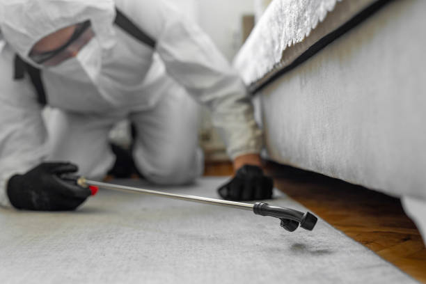 Professional Bed Bug Control technician working in Monsey, NY