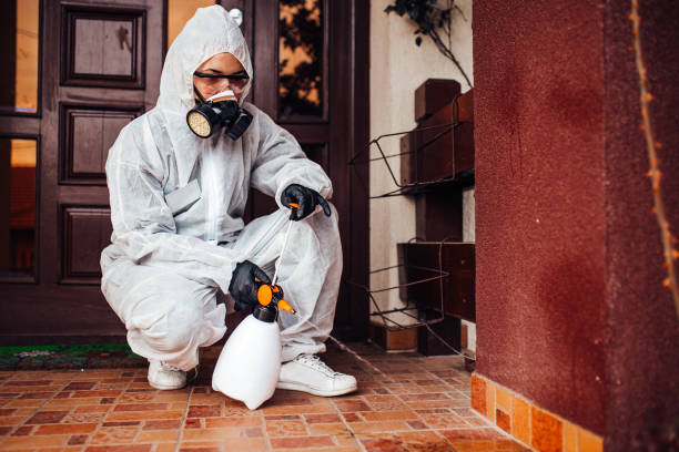 Reliable Bed Bug Control contractor in Monsey, NY by Nex Pest Control